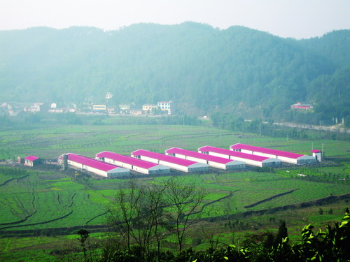 尊龙游戏app下载