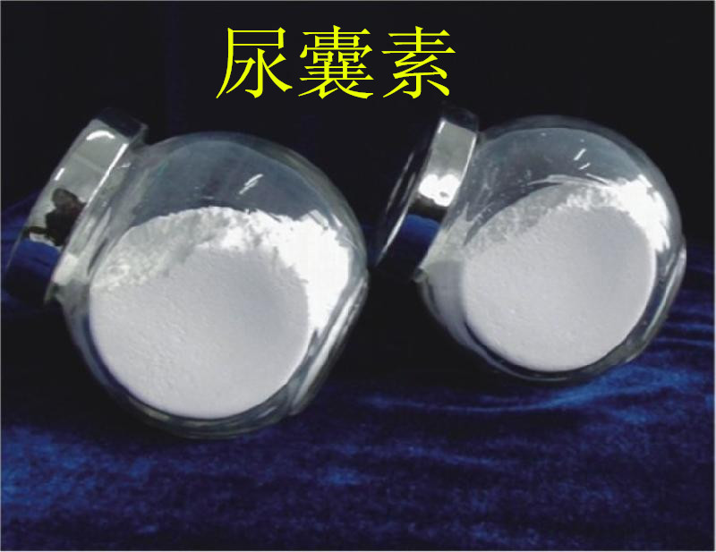 尊龙游戏app下载