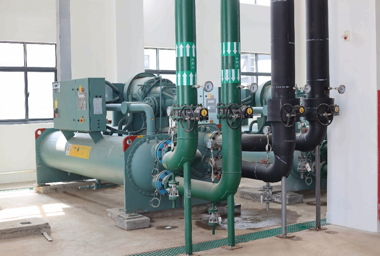 1656056724913369.png 1656056724913369.png